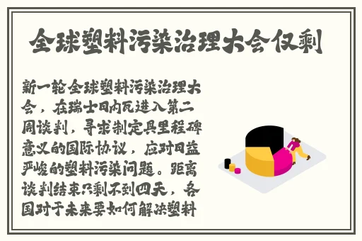 久久久国产精华特点